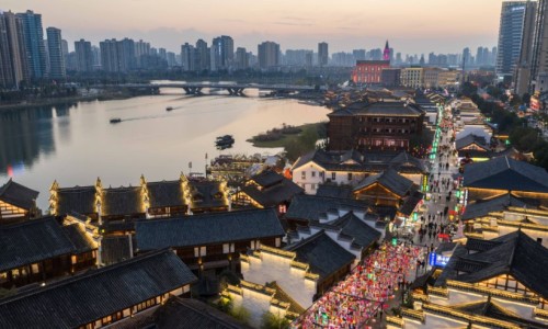 地黄搭配什么药材好-地黄配伍禁忌怎么中药网 | 地黄和什么搭配泡水喝最好,地黄搭配什么药材好